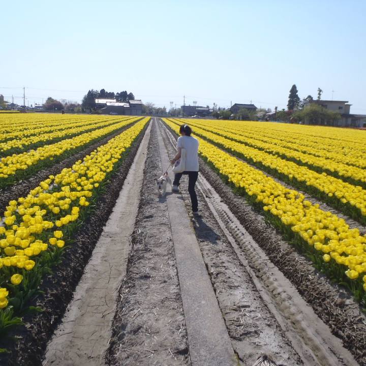 E8f9dac6 d154 4fd0 8c33 5669e8fddc13 1524487332847