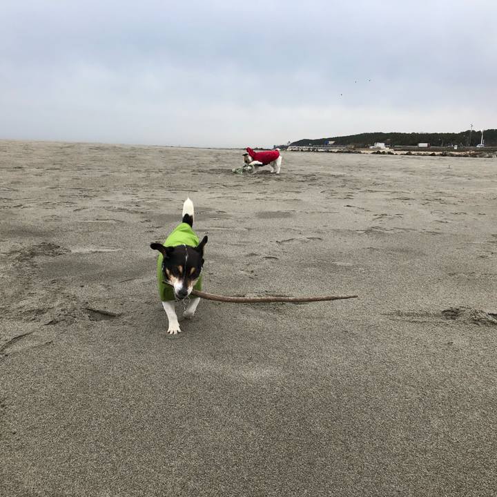 E8fa111d 12e9 4152 b92d f2ac1e33f360 1553129782323