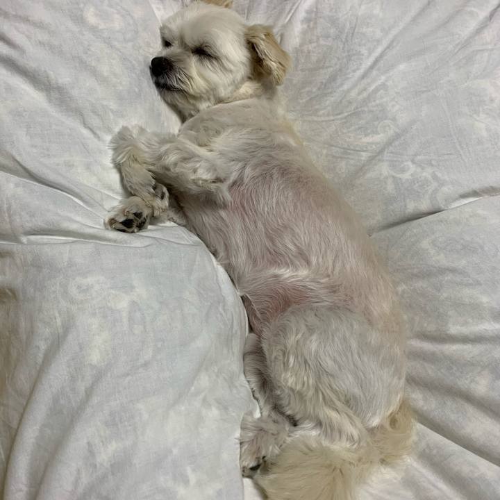 E8fa13d0 76d6 4436 ac28 210f63cb16cd 1571571664011