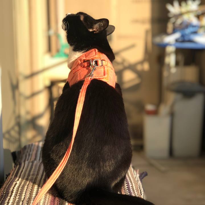 E8fa55ae 5f90 47b5 bb35 8f2d207db780 1589858484428