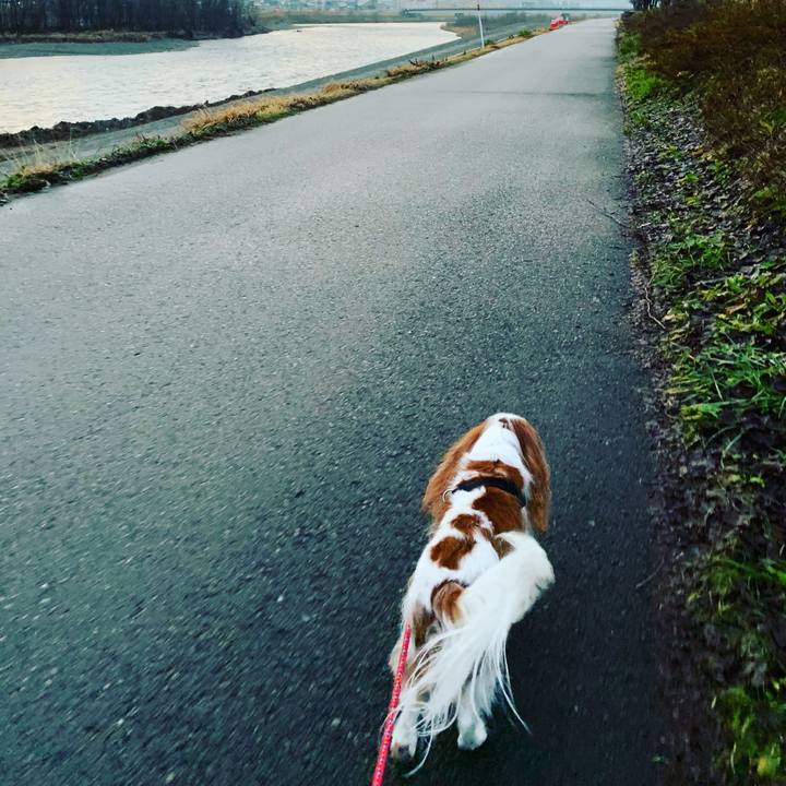 E8fa62fb fbc4 4f26 9b45 54e0a5e39fcc 1578953473794