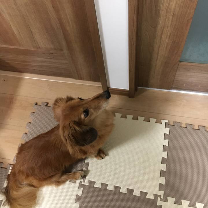 E8fa642c b939 4377 ae6e 8834f2acda53 1616591285067