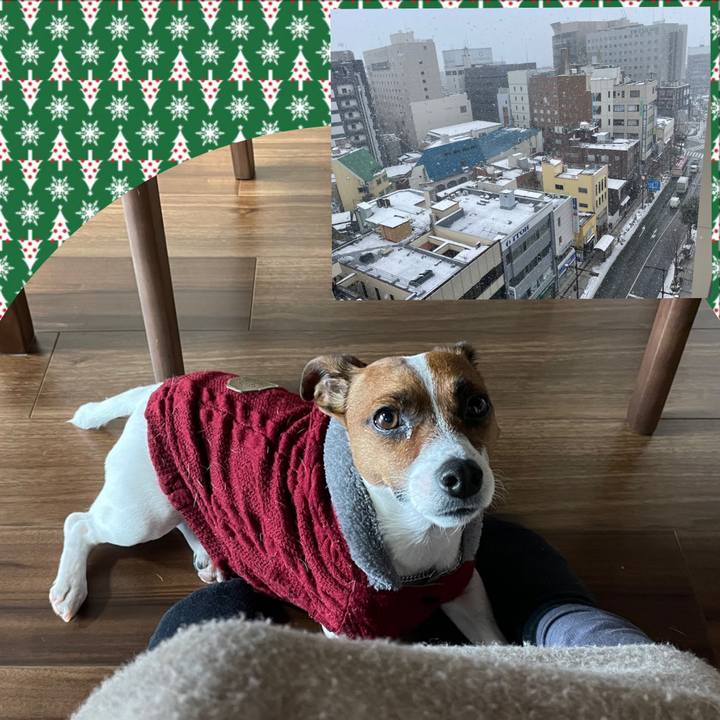 E8fa6b42 d07b 44af 98f3 f10bbe9aec88 1642380157001