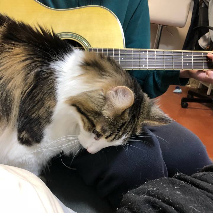 E8fa6fcf 5ecc 4560 ae87 703bab1f3681 1556362703448