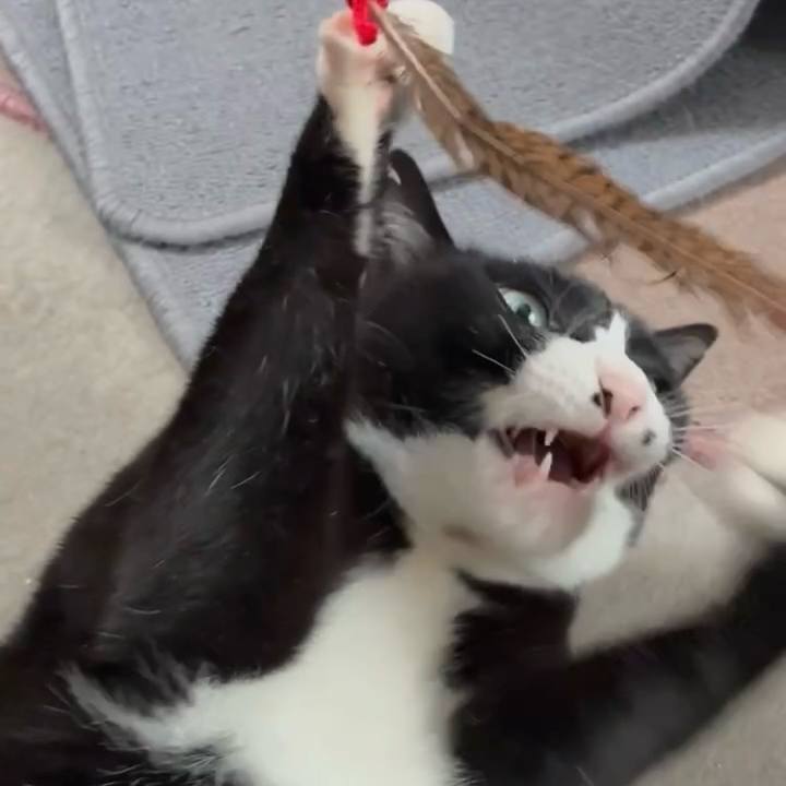 E8fa7253 52a9 4ab9 8c87 a171c7fbf2e8 1744855637478