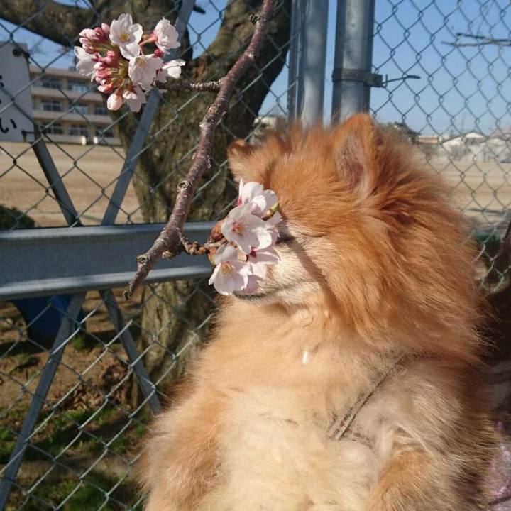 E8faef6b ba20 4737 9b61 72ef47b861b3 1523794965401