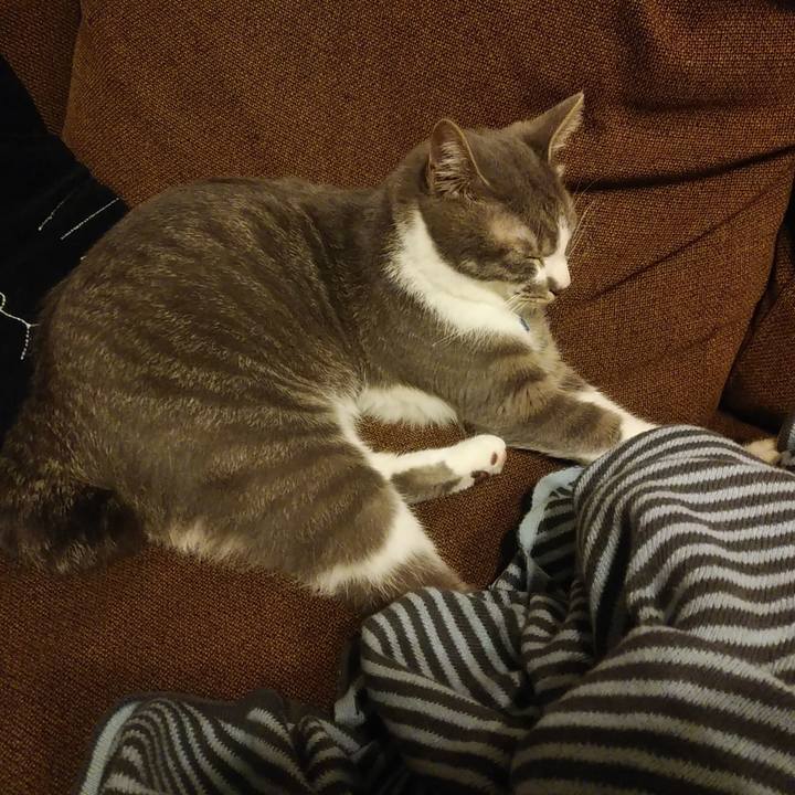 E8faf782 93d7 4d49 90a4 c7ba8cd23842 1589287859366