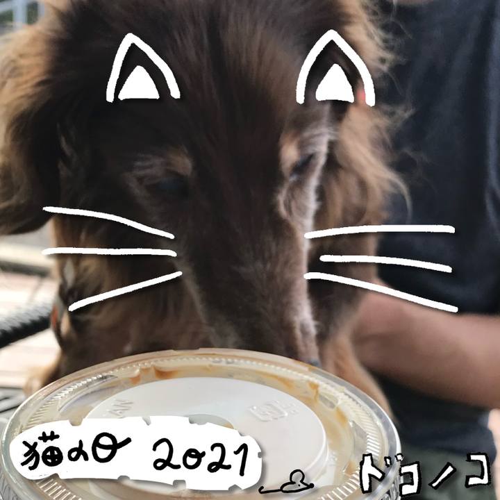 E8fafded c9b9 4601 abab 28ed3218a3a2 1613978865572