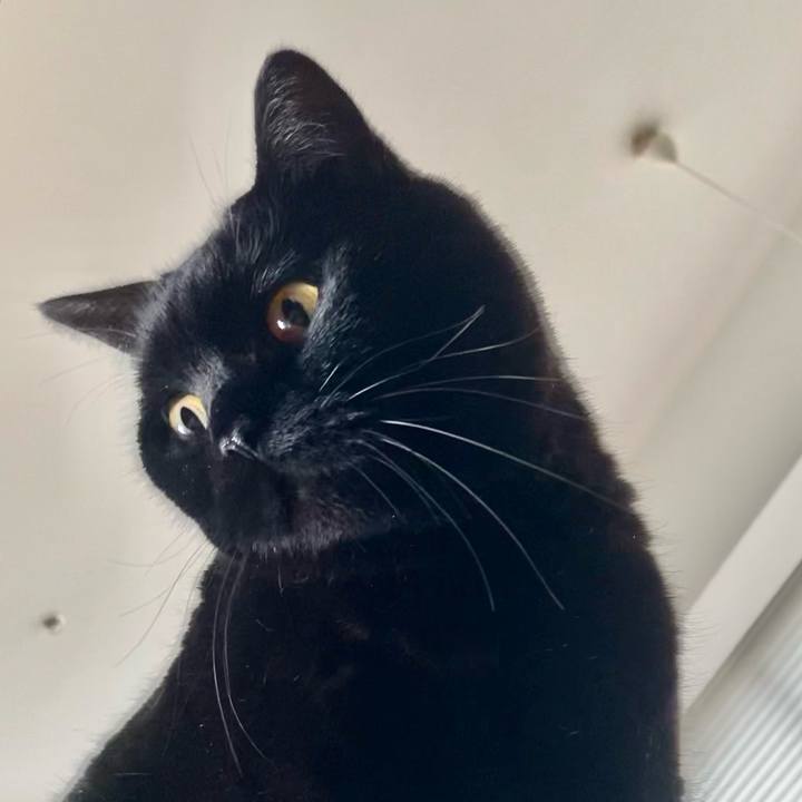 E8fb15cf b116 4551 a076 92606854f66b 1667375111807