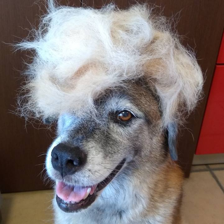 E8fb1faf d72c 4025 a2ee f64d47530951 1661904421231