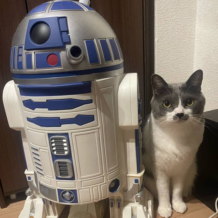 E8fb29e1 157d 4fa8 9793 0c22811532d3 1696507365162