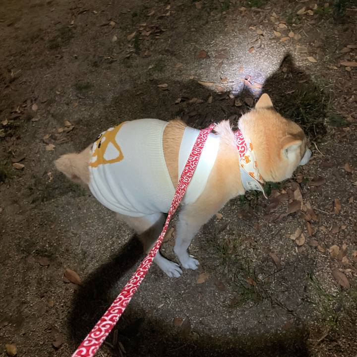 E8fb3b45 33b3 4ff8 8f05 4c67ed3b474f 1637489219328