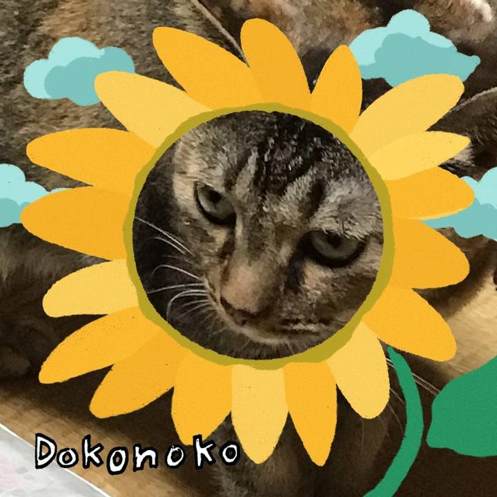 E8fb54b4 baf8 4ce2 91a2 b6351ed4f435 1723332902090