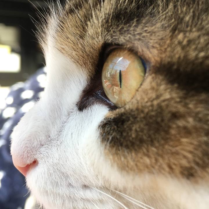 E8fb8ce1 a933 4e6d 8306 058334eff328 1525843808268