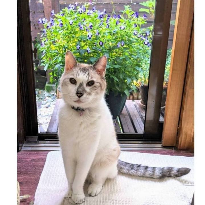 E8fbbeec 400c 495c b4d4 bd775d453f1f 1694774683558