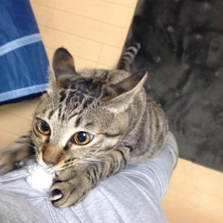 E8fbc762 5361 4590 9627 99cac502989e 1509272832560