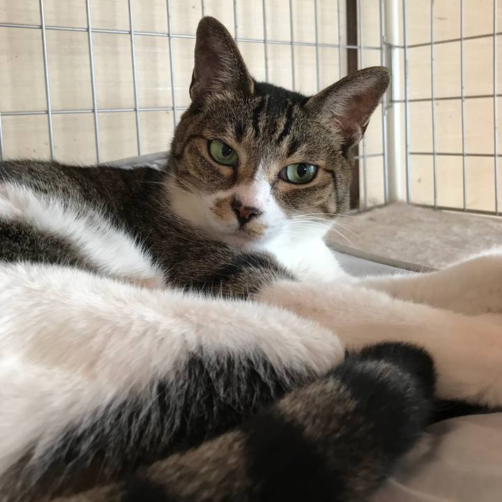 E8fbcf6a 8dc6 41db b7d7 b19bc308ff9b 1533081147799