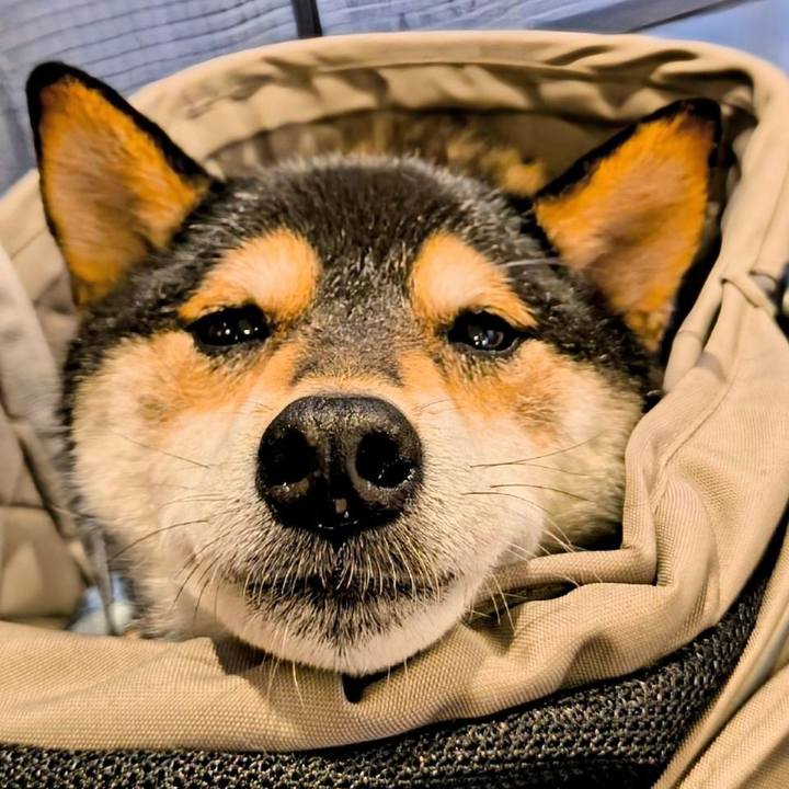 E8fbe56a 2b35 43a5 ba26 6886bf57802d 1759894116928