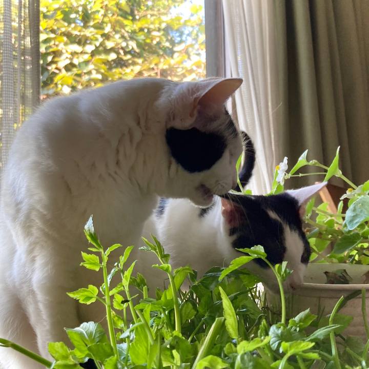 E8fc0b68 6f01 46fe bd10 f9cc918afa3b 1631673113876