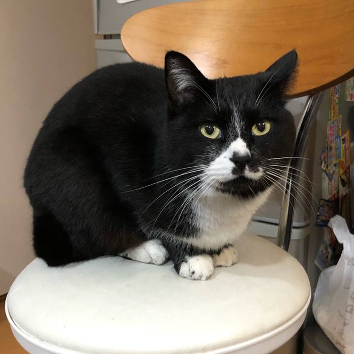 E8fc2777 2e9d 487f a347 3d7a5e71ecd9 1583464776075