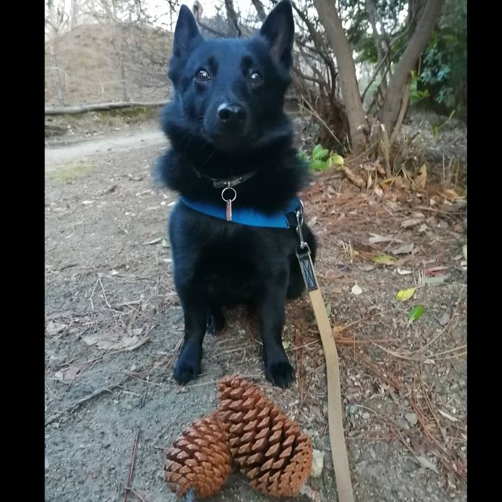 E8fc3a53 ba93 4f5c aba0 90cae1db4996 1611871666561