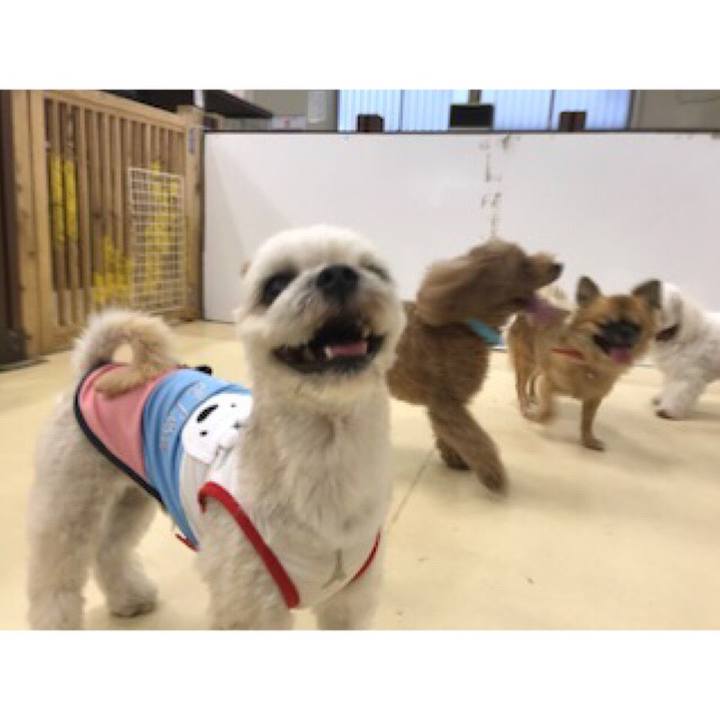 E8fc3f9c 4cf4 436a 9548 c2b9c8d87891 1539168655389