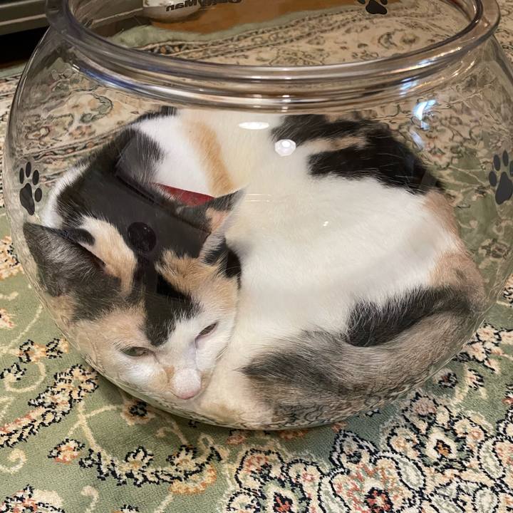 E8fc5fe3 f803 4111 8a74 ef52c98eff47 1721740769782