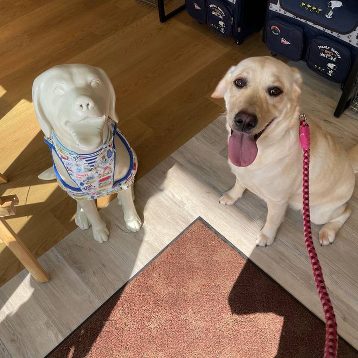 E8fc6bbc c50d 4fde 82be 62e7144b7f21 1651046161370