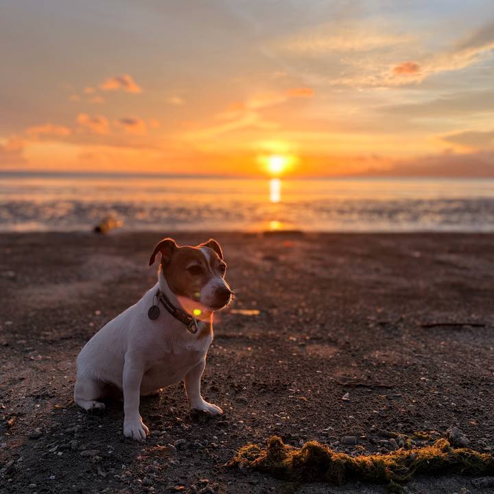 E8fc980e 6dc4 4eb7 86cf a41e44a50300 1773223711800