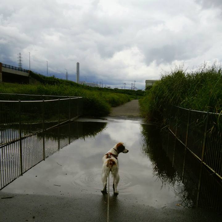 E8fccbd3 20cd 4514 937d a779489e4d51 1535784874765