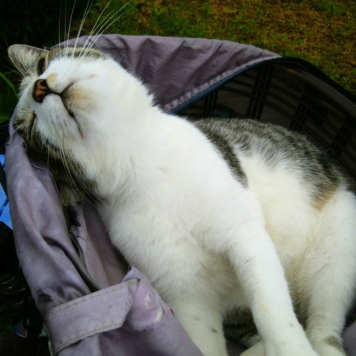 E8fcd770 e0ca 4f07 b8ae 618b97c42b47 1562888226273