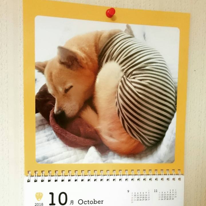 E8fd10ae 498e 4cbe 9461 57f4be093373 1538576161397