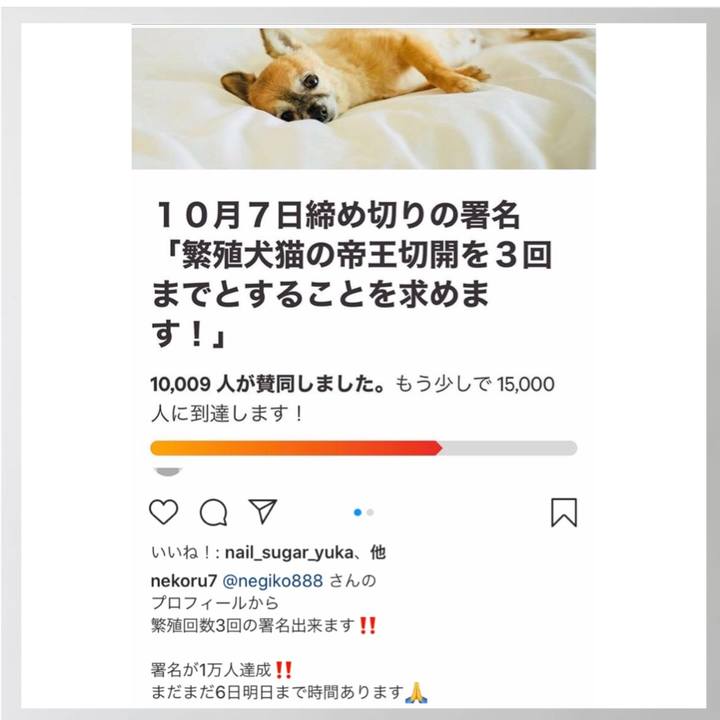 E8fd124c 2437 4b34 aec8 42bdd68bef00 1601915710873