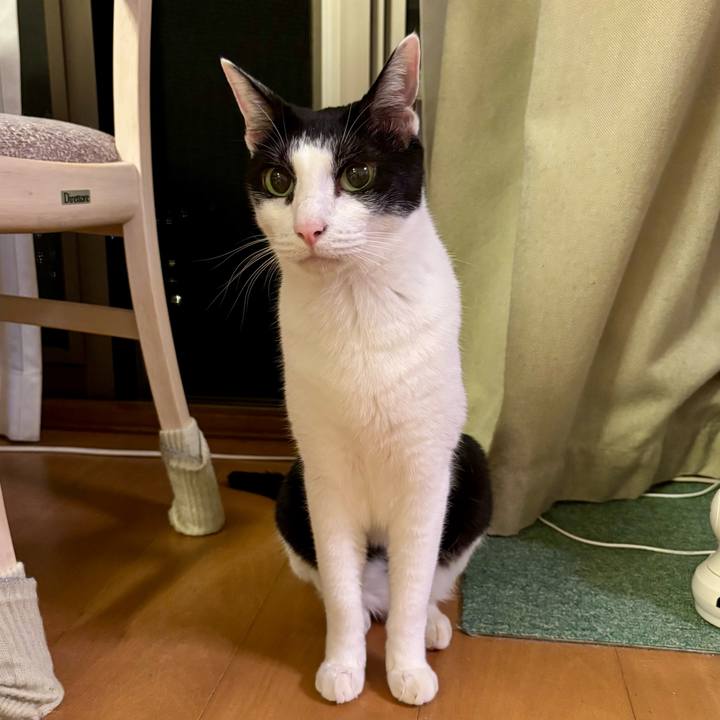 E8fd40ac 276e 4b98 8407 afd3643e85b2 1759244240556