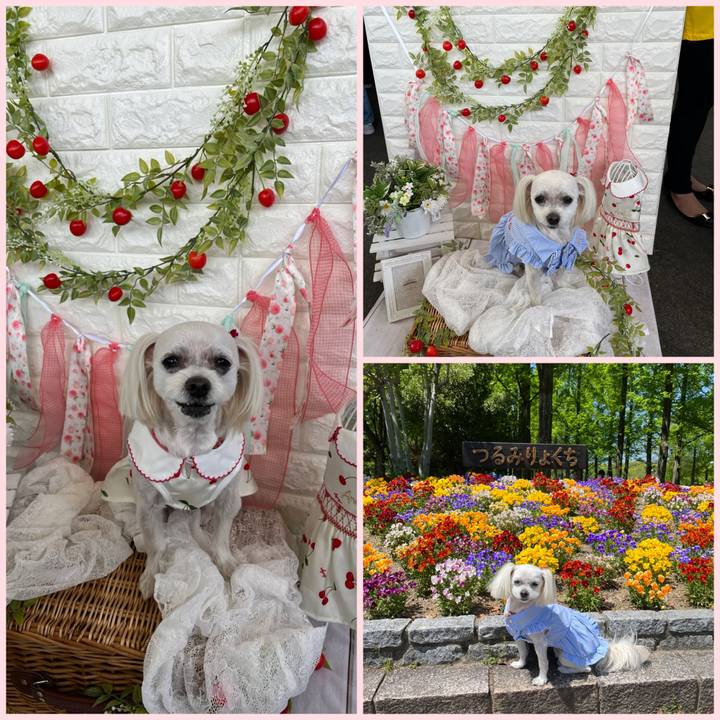 E8fd92ce ece5 4b83 bc13 c6f977d10595 1682144951240