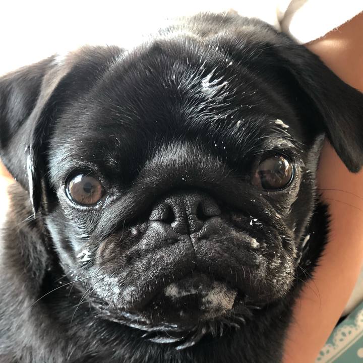 E8fd98cb 2247 4471 a1af bb7bcae069fe 1621333868461