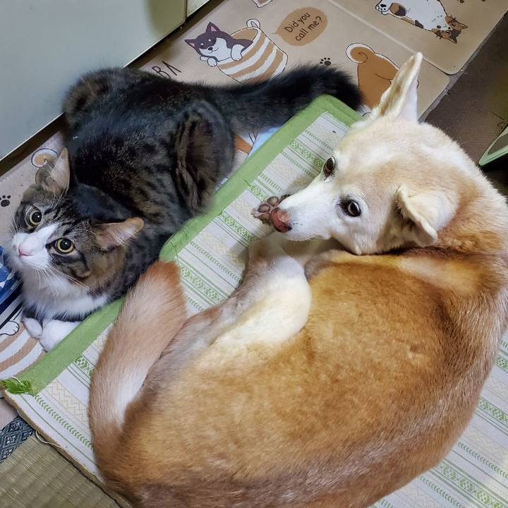 E8fda8fa 9e5c 42f7 9941 484272613088 1670995651461