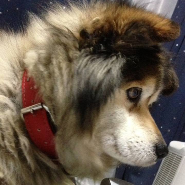 E8fdf208 7f54 44ae ad73 05dd4fecc39c 1576734928000