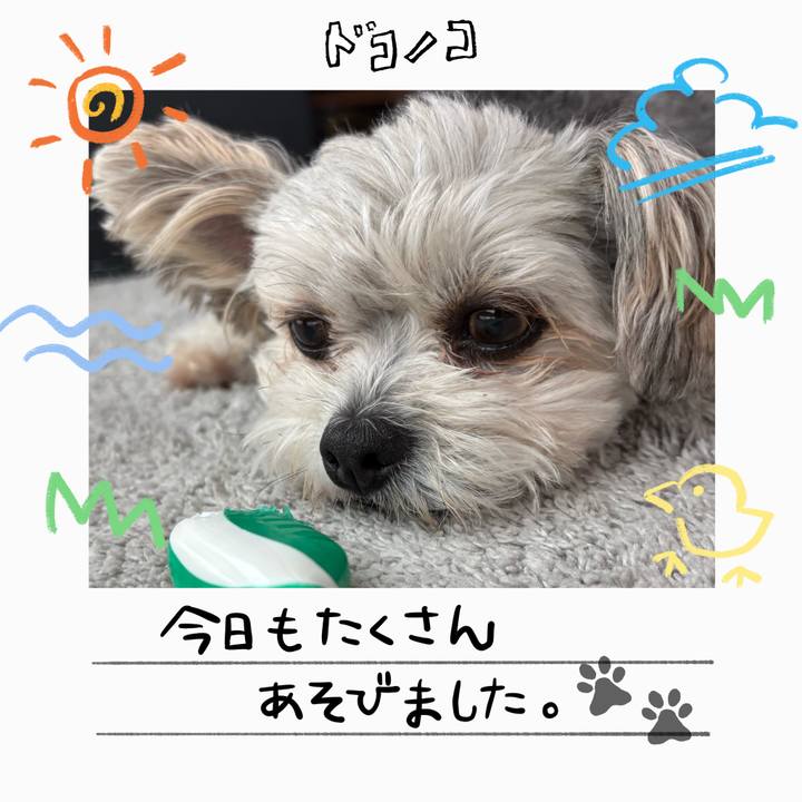 E8fe0a10 fd61 467e bd72 a69aa5b97161 1755507935943