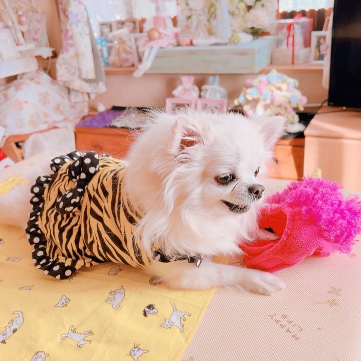 E8fe1823 8f04 4d22 bb58 1b51a261b105 1770123498975