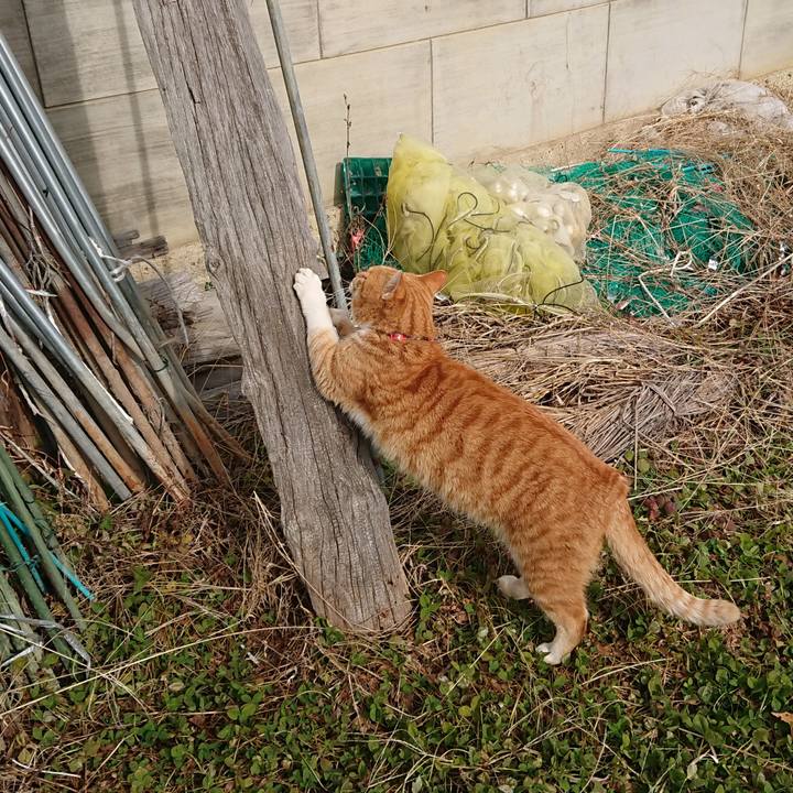 E8fe184b 4c06 4f84 89f3 42e8bf665382 1579402232767