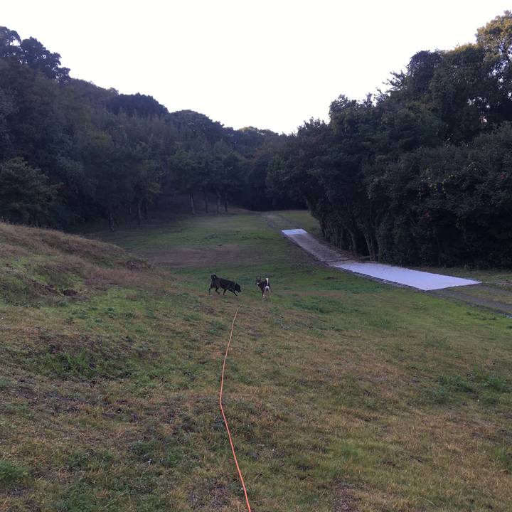 E8fe5c49 2d07 4fd5 935e 1a680c89505d 1512974612820