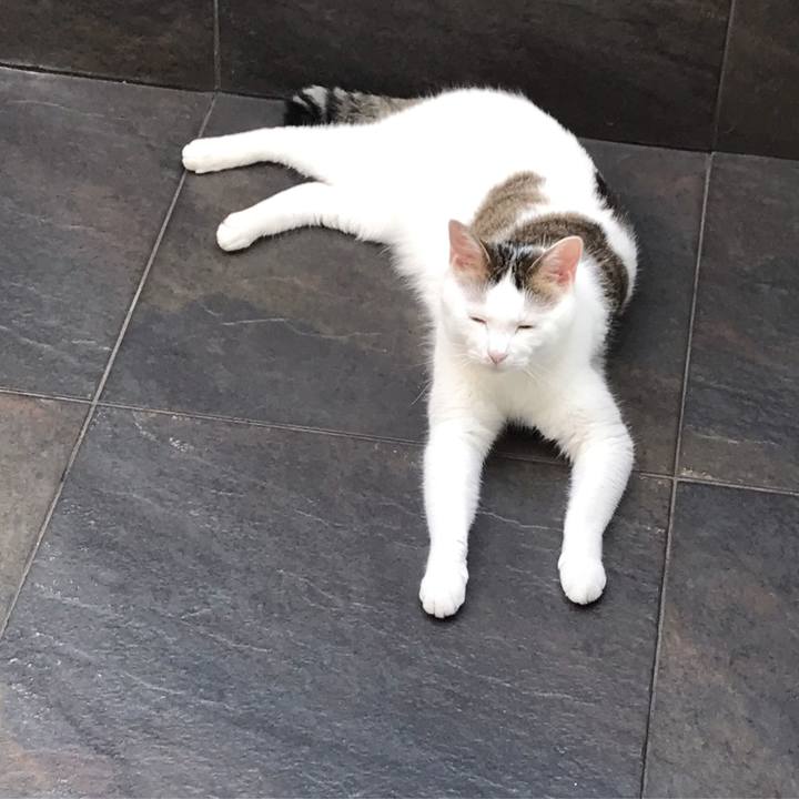 E8fe7895 0315 4763 a788 9d0d17cc9c0f 1563348080211