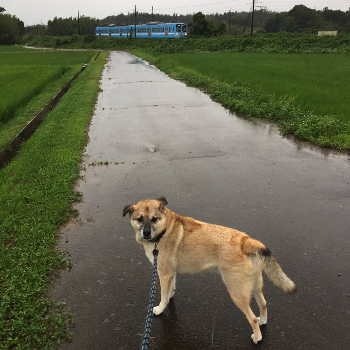 E8fea09c 8f1b 4c04 9b4b 24044c4d17d7 1530961345802