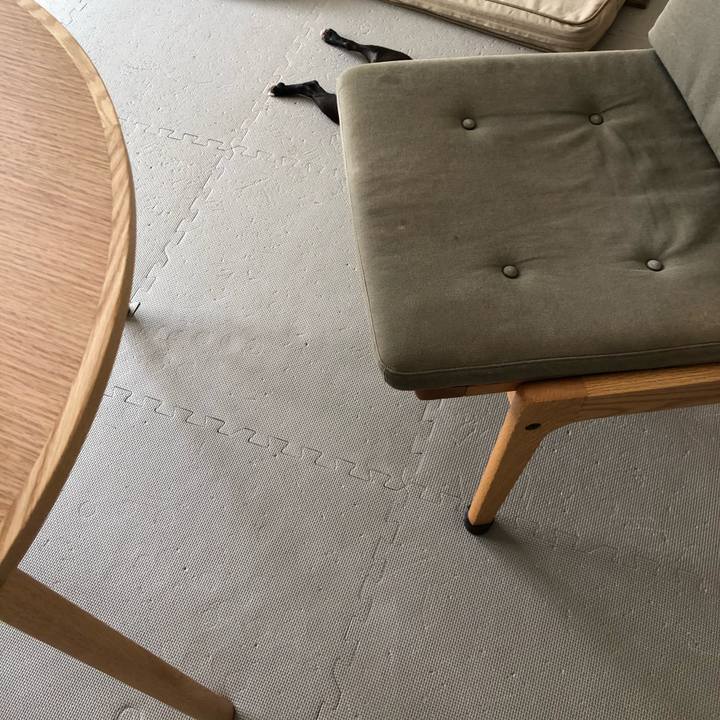 E8fea727 218c 4740 b6d6 477eb6fa3a50 1596244096213