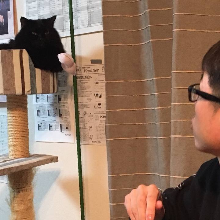 E8fedb02 6cdc 44ee b619 6292240e6414 1540040925076