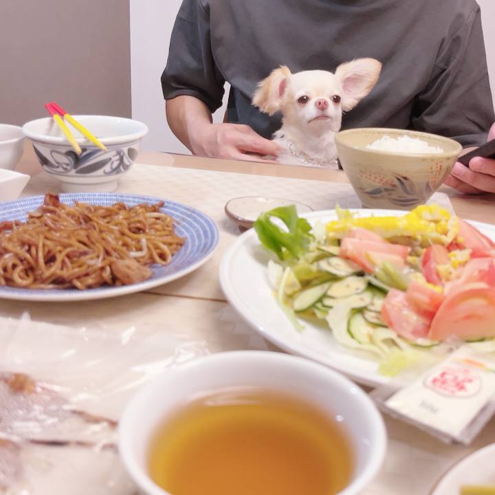 E8feedb4 9fc4 4c43 beea 2aa84572dfd9 1686462718685