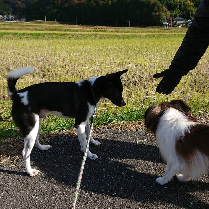 E8fef4a6 4cd3 45cf b274 6508b06cb7ee 1510459738331