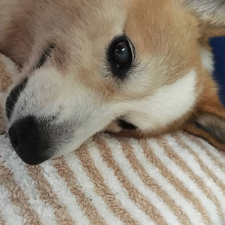 E8ff2cc7 324a 4c01 aba2 cdce8a991197 1571613546257