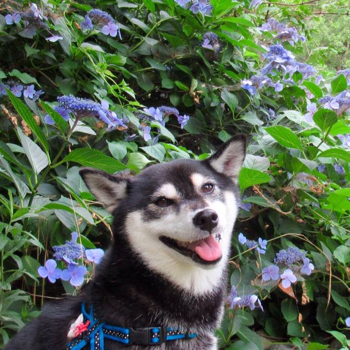 E8ff66e6 3515 4913 afcd 24e50feab505 1563401506877